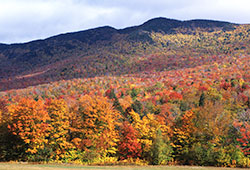 Stowe, Vermont fall