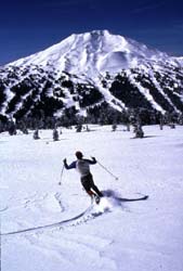 cross country skier Mt Bachelor