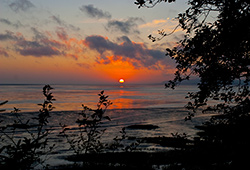 Sunset Willopa Bay