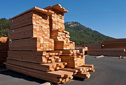 lumber stack2